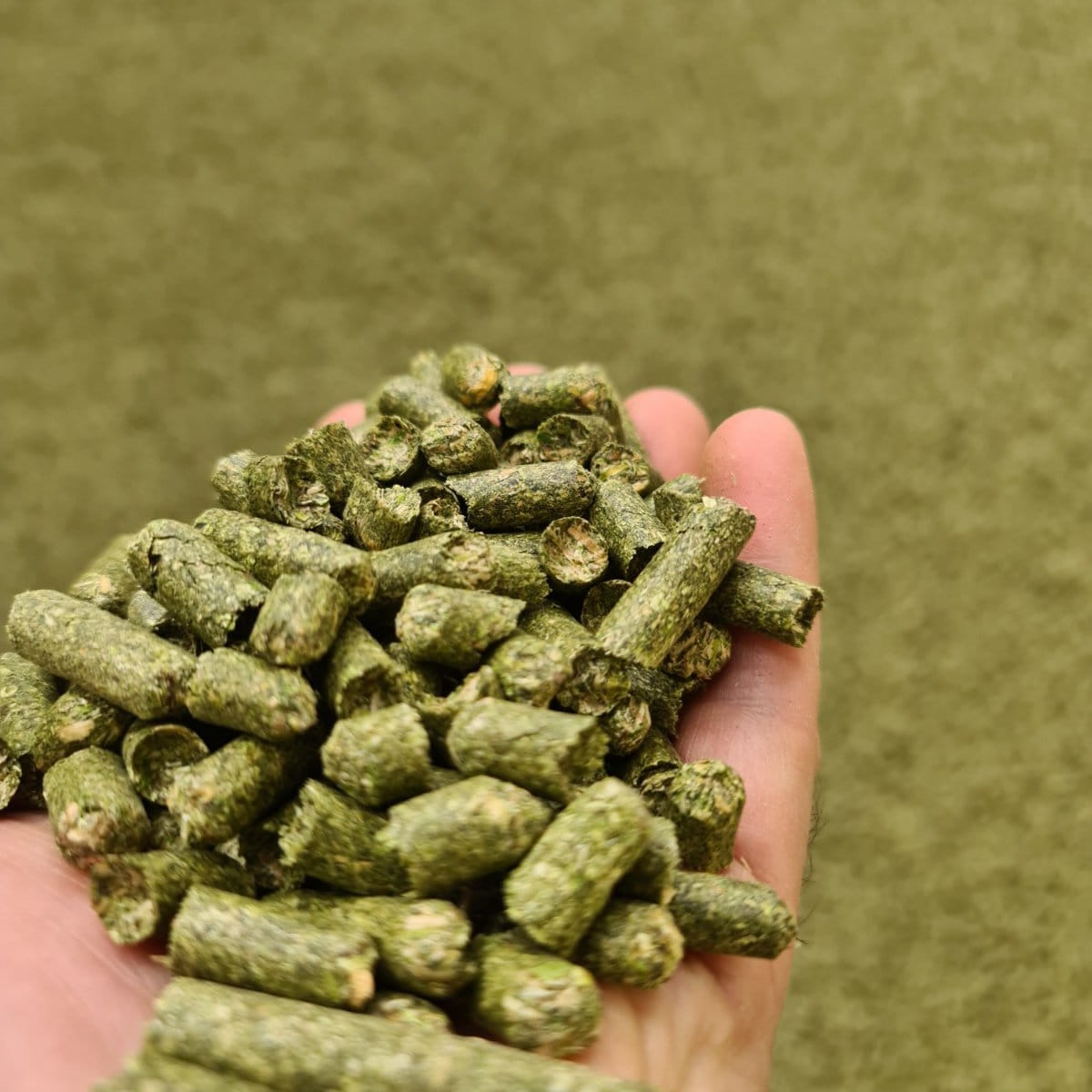 Alfalfa Pellets